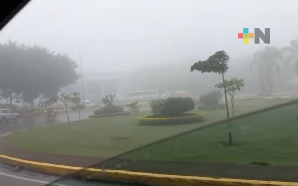 Baja temperatura y niebla densa se registra en Xalapa: SPC